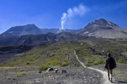 Small-Group Full-Day Tour of Mount St Helens Volcano from Seattle