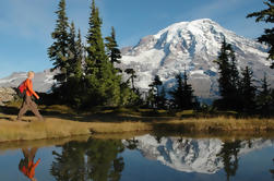 Mt Rainier Small-Group Tour with Lunch