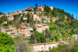 Palma de Majorque Excursion privée: Visite privée de Valldemossa, Soller et Serra de Tramuntana