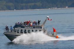 Whale-Watching Cruise met Expert Naturalists