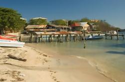 Excursión de la costa de Roatan: Viaje de la isla del este