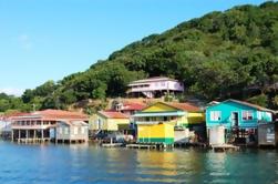 Roatan Shore Excursion: crucero de manglares