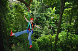 3-Day Rainforest Meet the Reef Multi Day Trip: Cape Tribulação, Daintree Rainforest e Reef Safari de Cairns e Port Douglas