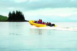 Ketchikan Rainforest Paseo por la naturaleza y crucero turístico