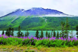 Yukon Sightseeing Adventure de Hummer