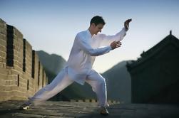 Taichi or Kung Fu Learning Class