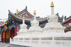 Private Tour: Xi'an Bike Adventure mit tibetischen Tempel und Terrakotta Warriors