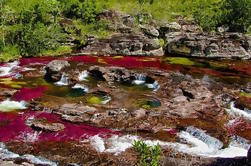 Tour de 3 días a Caño Cristales desde Bogotá