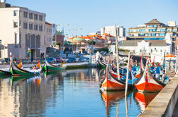 Aveiro Tour from Porto with Moliceiro Cruise