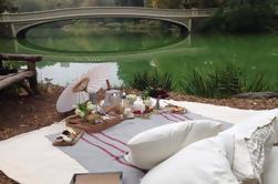 Ultimate Central Park Picnic Experience