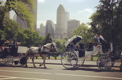 Central Park Date: Horse Carriage Ride avec une taverne sur l'expérience de manger vert