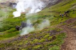 Tagesausflug von Reykjavik: Wandern und Hot Springs Abenteuer in Reykjadalur und Hveragerdi