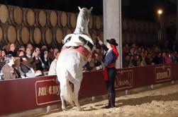 Jerez e Cadice giorno di viaggio da Costa del Sol con Winery Tour, andaluso Horse Show e Crociera turistica