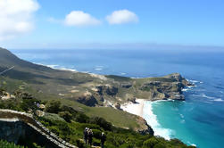 Private Tour: Kap-Halbinsel und Boulders Beach Penguins Tagesausflug von Kapstadt