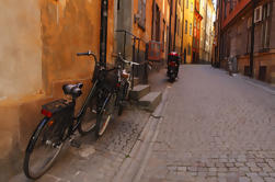 Private Tour: Estocolmo Bike Tour Incluindo Kungsholmen, Långholmen e Södermalm Ilhas