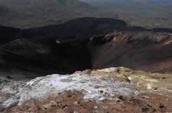 Corinto Shore Excursion: Cerro Negro Volcano Boarding Tour