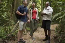 Mossman Gorge Dreamtime Walk and Low Isles Snorkeling and Sailing Cruise