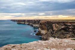 9-Day Port Lincoln a Perth Ultimate Nullarbor con Opcional Tiburón Sage Dive and Swim con Sealions y Dolphins