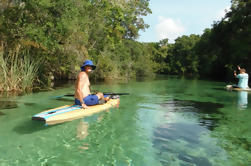 Paddleboard Tour del río Spring de San Petersburgo