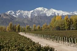 3 nuits à Mendoza en avion de Buenos Aires