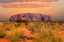 Excursión de 4 días en 3 días de Alice Springs: Kings Canyon, Uluru (Ayers Rock) y Kata Tjuta