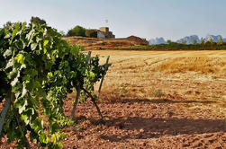 Montserrat Guided Day Tour with Tapas and Wine