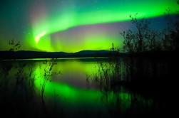 4-Day Northern Lights Tour em Whitehorse