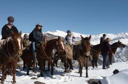 Tour a caballo de montaña desde Santiago