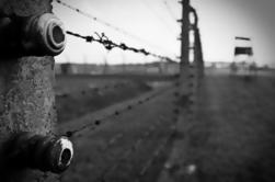 Krakau Super Saver: Auschwitz-Birkenau Tour aus Krakau und 3 Museumspässe