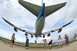 Asombroso avistamiento en la playa de Maho