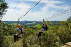 Excursão da costa de Auckland: Excursão da ilha de Waiheke com aventura de Zipline