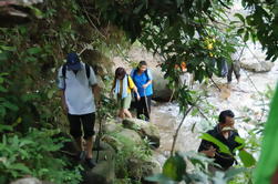 Aventura de selva tropical de día completo desde Kuala Lumpur