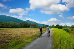 Excursão de bicicleta de meio dia pela cidade de Penang