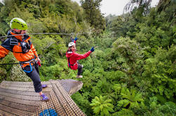 Rotorua Forest Zipline Canopy Adventure