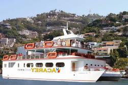 Acapulco Acarey Yacht Cruise