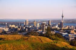 Private Tour: 5-tägige Auckland und Bay of Islands Trip