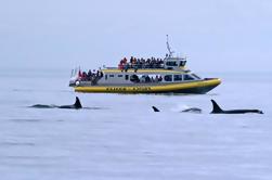 Whale-Watching Cruise van Victoria en Butchart Gardens Admission