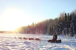 La aurora de Iditarod con el punto de control de la raza Fly-Out