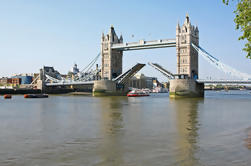 Recorrido histórico por Londres con guía que habla español: la Torre de Londres y un crucero turístico por el río Támesis