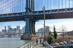 Excursão da bicicleta do beira-rio de Brooklyn