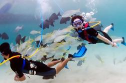 Marinarium Snorkeling Cruise