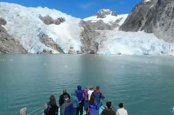 Northwestern Fjord Sightseeing Cruise from Seward