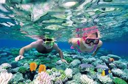 Catalina Island Snorkel excursie vanuit Punta Cana