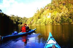 Excursão do kayak do rio de Wairoa