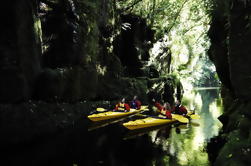 Excursão panorâmica do caiaque do lago McLaren