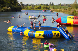 Tauranga Shore Excursion: Waimarino Adventure Park