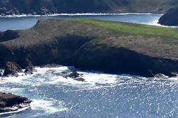 Hobart Shore Excursion: Excursão de um dia em Bruny Island