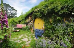 Tauranga Shore Excursion: Lord of the Rings Hobbiton Movie Set Tour