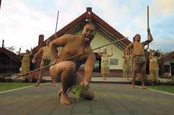 Tauranga Shore Excursion: Te Puia Maori Cultural Centre and Rotorua City Sightseeing