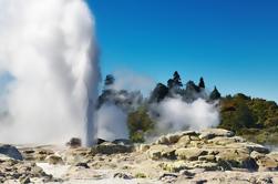 Tauranga Shore Excursion: Rotorua Hoogtepunten